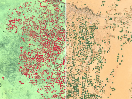 Examples for different usecases of Sentinel-2 data
